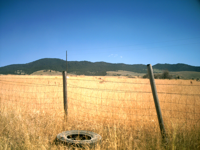 A MONTANA SUMMER